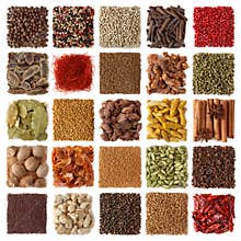 Indian spices collection