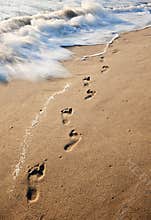 Foot Prints in the Sand
