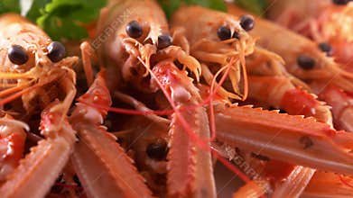 Fresh seafood huge shrimps fish