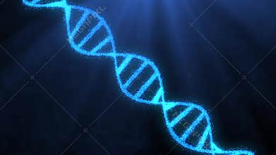 Animation of DNA construction