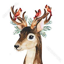 Winter composition with conifer branches,cardinal birds and cute deer.