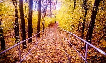 Autumn Fall Road landscape