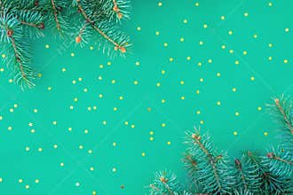 Christmas composition with borders of fir branches and golden stars sparse on mint background