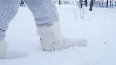 The legs of a young girl are walking in the snow in high boots, felt boots, ugg boots. A snowy winter park. Close-up