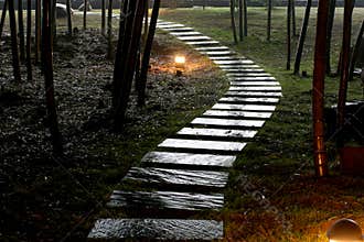 Tranquil Stone road in garden