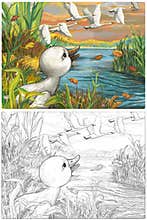 Cartoon happy and funny farm scene with happy bird duck sketchbook illustration