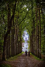 Cyclists in the Forest