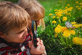 Kids - boy and girl - looking at butterfy, kids learning nature