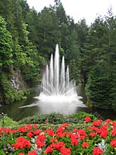 Water Fountain with Red Flowers in the Foreground