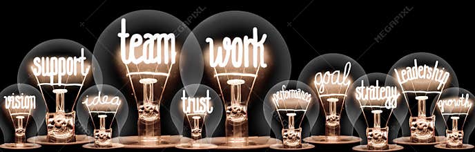 Light Bulbs with Team Work Concept