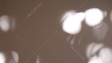 Abstract shadow of leaves from early morning sunlight shining on interior white wall, 4k video in ProRes. Shadow of leaf