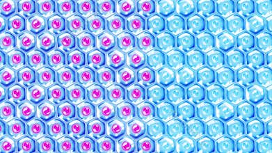 Human skin cells. Each cell with membrane. Cellular therapy. Disease treatment. Nucleus and vacuole. Regeneration. Loop animation.