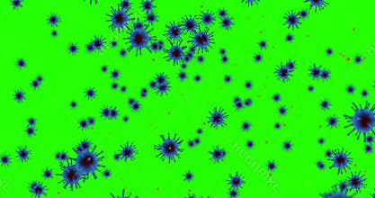 3D rendering animation, blue coronavirus cells covid-19 influenza flowing on chroma key green screen background as dangerous flu