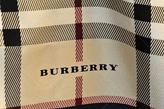 Burberry scarf