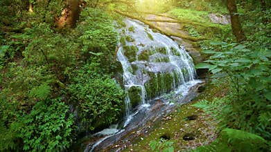 Waterfall in the middle of the deep forest at Kio Mae Pan, Doi Inthanon, Chiang Mai, Thailand