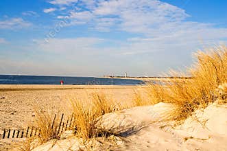 Winter Morning at the Shore