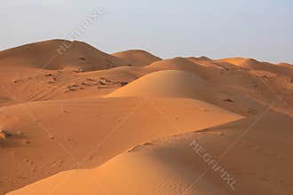 Desert wahiba sands, sultanat oman