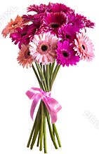 Bouquet of Gerbera flowers