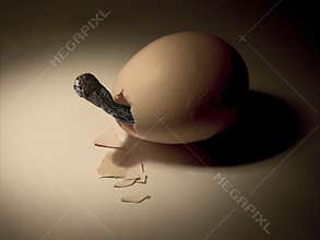 Birth...