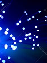 Fiber optic abstract