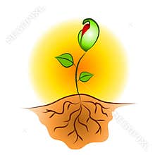 Seedling Plant Roots Clip Art