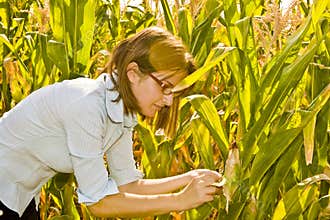 Agricultural engineer