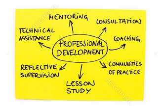 Professional Development