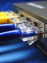 Network cable & hub.
