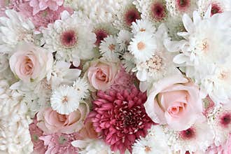 Roses and Daisies
