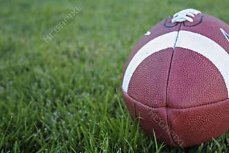 A football on grass Horizontal