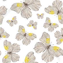 Seamless pattern with moth or white butterfly. Hand draw watercolor Insect illustration. Endless background for