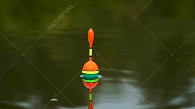 The float on the water twitches and goes under water when it starts to bite, close-up