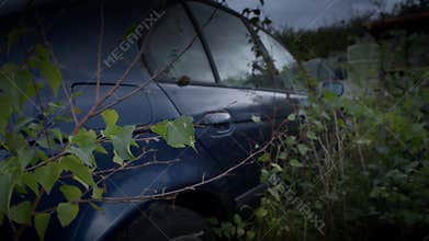 Abandoned Rusting 1990s German Car Consumed by Undergrowth in Woodland
