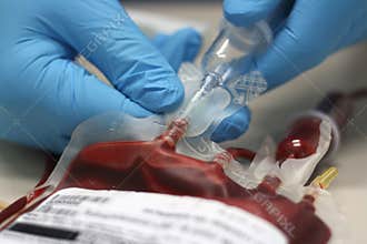Bag of transfusion blood