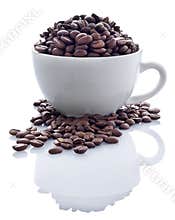 Coffee Beans In Cup
