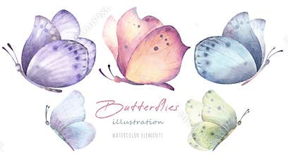 Watercolor hand drawn set with illustration of colorful exotic butterflies. Pink, blue, yellow, green elements isolated