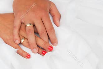 Bride and groom hands