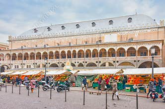 Piazza delle Erbe and Piazza delle Frutta Padua/Padova , Italy, Europe