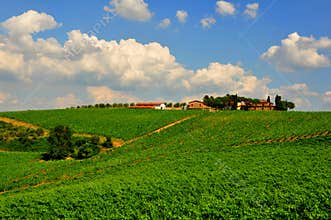 Idyllic day in Tuscany, Italy