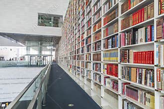 Bright interior library decoration space
