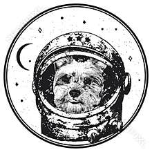Yorkshire Terrier astrodog portrait. Cute space dog. Vector illustration
