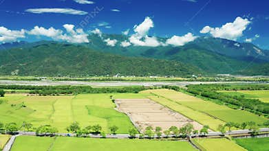 Aerial view of agriculture in rice fields for cultivation