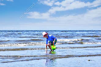 Boy looking for sea shells on sunny beach in White Rock, British Columbia