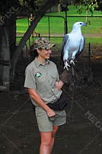 Woman with eagle in Australian Zoo