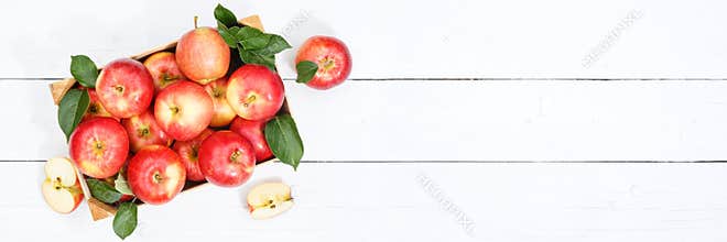 Apples apple fruits fruit from above autumn fall banner copyspace copy space box with leaves