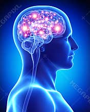 Male active brain