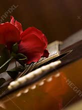 Guitar Passion
