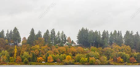 Scenic Autumn Landscape in Marathon Park in Olympia, Washington