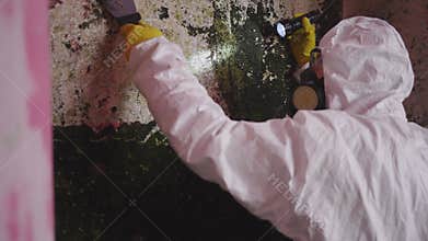 exterminator removal of dangerous mold from the wall,removal of plaster cleaning the basement of the house from fungus