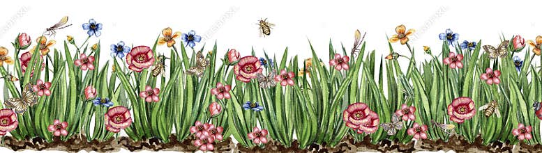 Watercolor horizontal seamless background with grass, insects and flowers. Butterflies in cartoon style. Hand rawn illustration